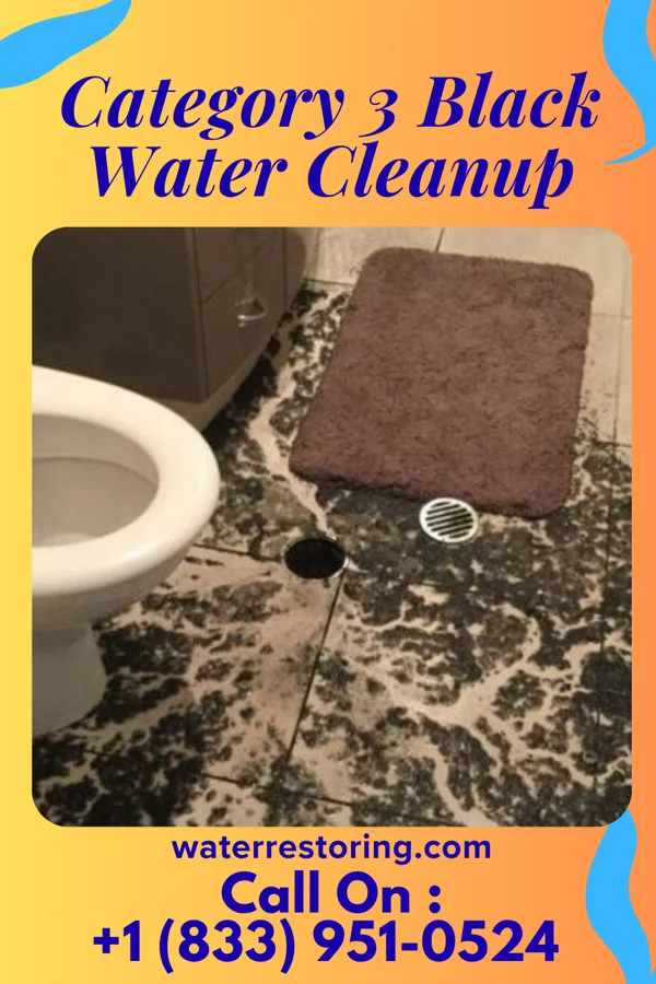 Category 3 Black Water Cleanup in Pikeville, KY
