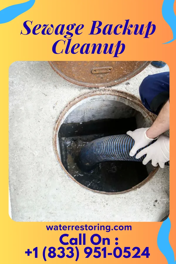 Sewage Backup Cleanup in Pikeville, KY